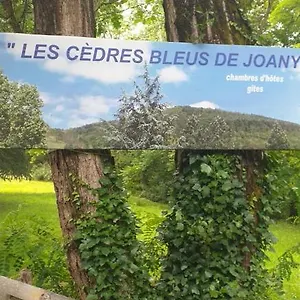  Gasthof Les Cedres Bleus De Joany